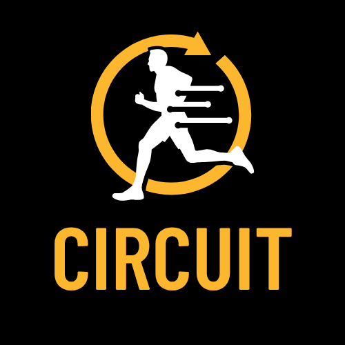 Circuit